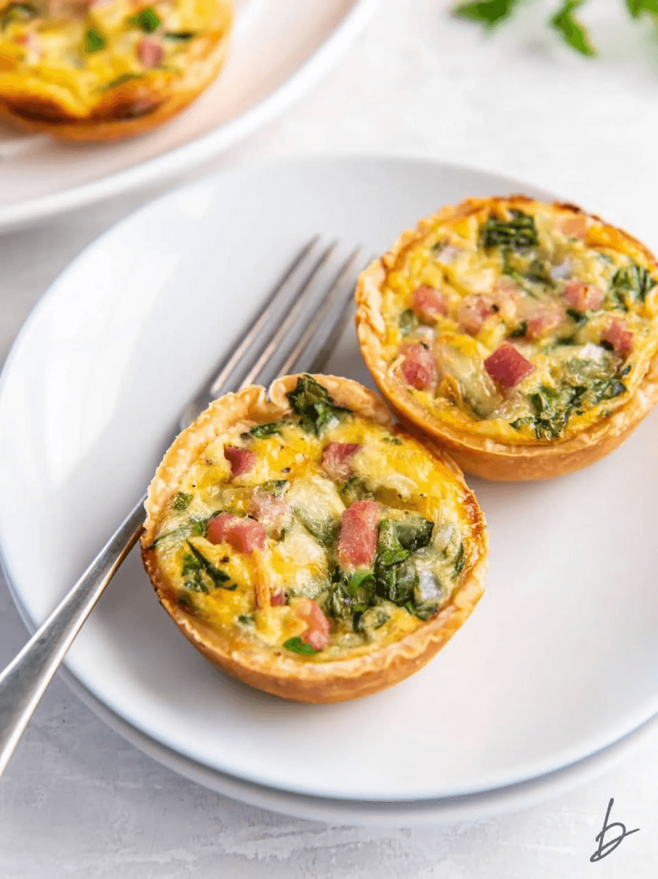 Quiche